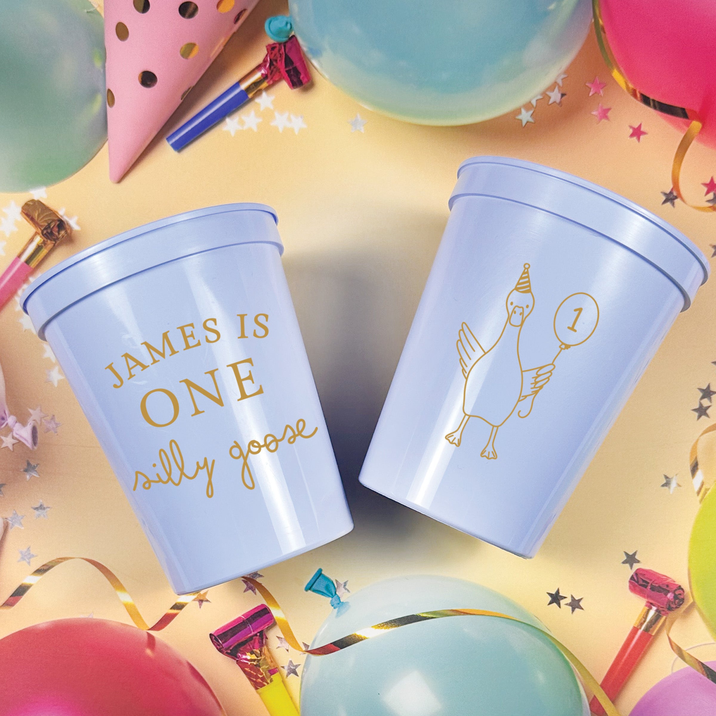 Birthday Silly Goose - Stadium Cups